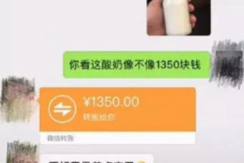 麻城为个人要账讨债：揭秘债务追收的专业之道